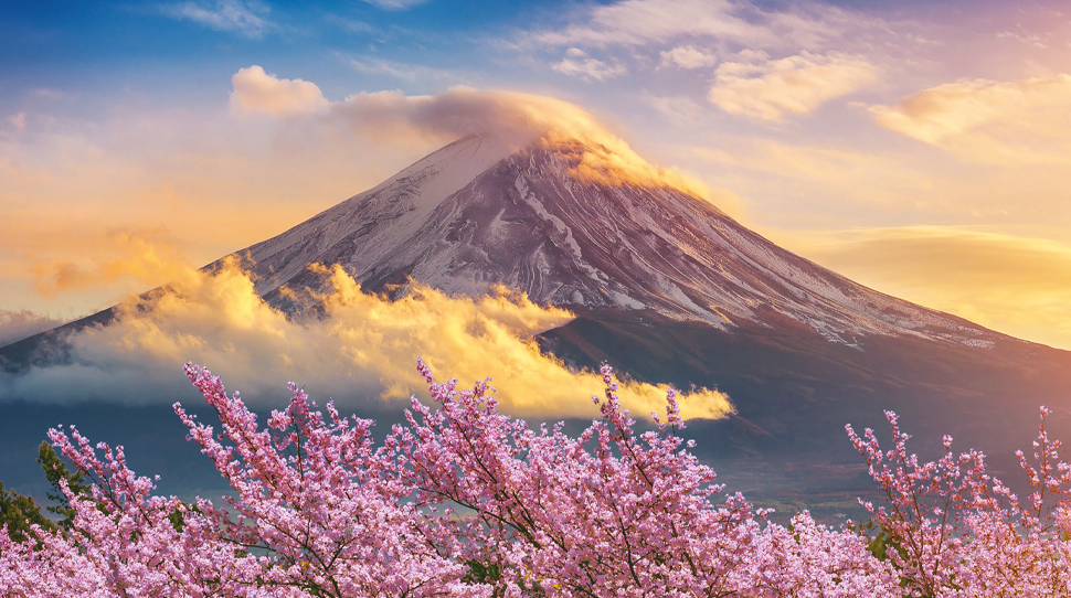 Japão | flores de cerejeira | Fuji | nuvens | investimentos | céu | neve | rosa | branco | laranja