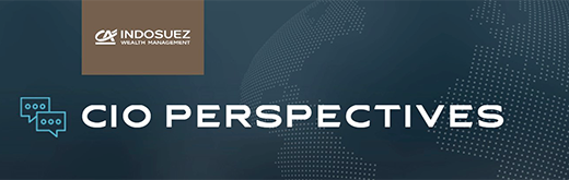 CIO PERSPECTIVES